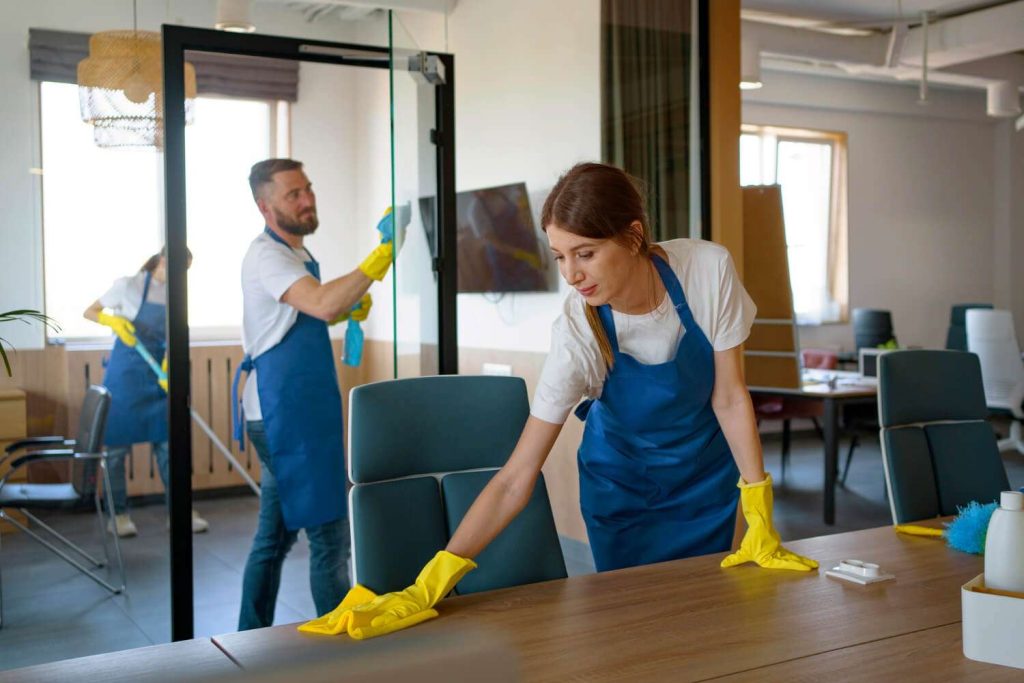 Professional Cleaning Services