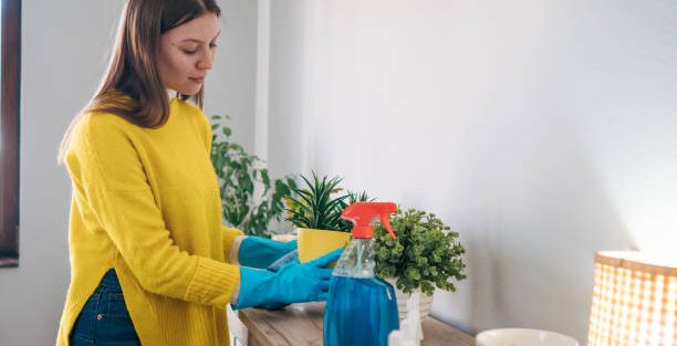 Seasonal Deep Cleaning