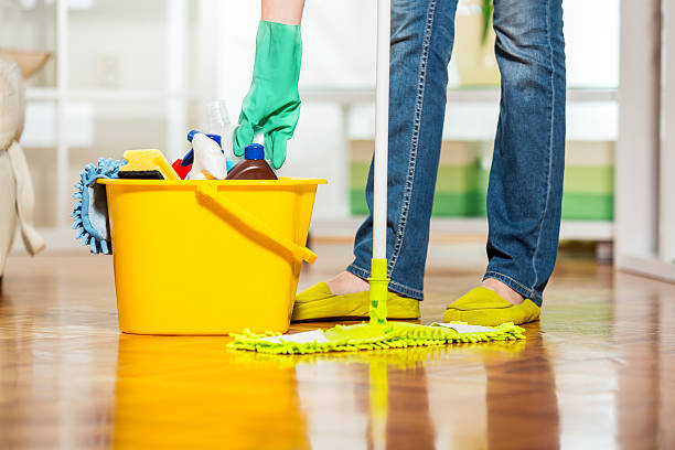 Refreshing Spaces | How to Keep Your Home Allergy-Free Year-Round Home Allergy
